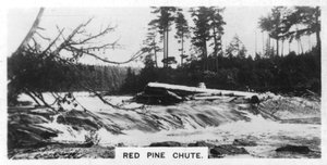 Red Pine Chute, Canadá, c1920s de Unbekannt