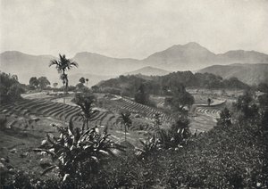 Campo de viagem em Terrasen ancorado, 1926 de Unbekannt