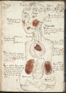 Representação de uma teoria aristotélica da consciência De: De corpore et anima de Unbekannt