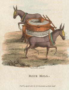 Moinho de Arroz, 1813 de Unbekannt