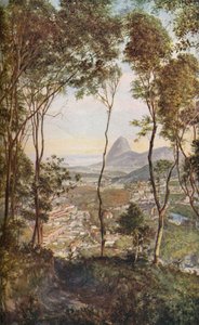 Rio de Janeiro, c1930s de Unbekannt