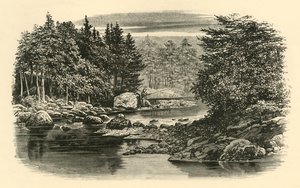 Cena do rio, Langdale, c1890. de Unbekannt