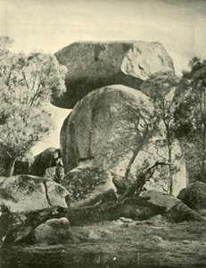 Vista robins, Yeashire, 1901. de Unbekannt