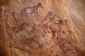 Arte rupestre, Pré-história: Pintura de um grupo de gado e personagens em um abrigo ornamentado, no maciço de Uweinat, Sudão (Karkur-Talh ou Karkur Talh). Período de 8000 a 3000 anos antes de Cristo. Fotografia de Unbekannt