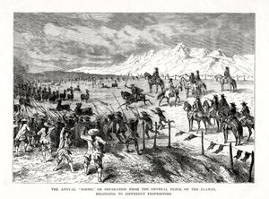 Rodeio, América do Sul, 1877 de Unbekannt