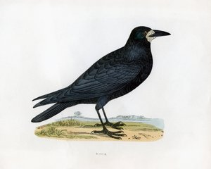 Torre, século c19 de Unbekannt