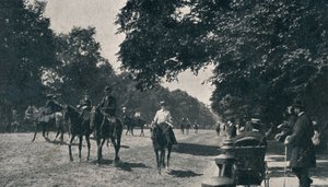 Fileira podre, Hyde Park, c1900 de Unbekannt
