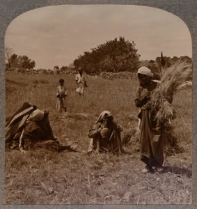 Rute apanhando nos campos de Boaz, c1900 de Unbekannt