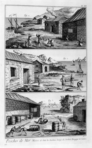 Salga, lavagem, embalagem de sardinha, 1751-1777 de Unbekannt