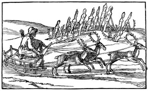 Samoiedo viajando em um trenó puxado por renas, do final do século XVI ao início do século XVII de Unbekannt