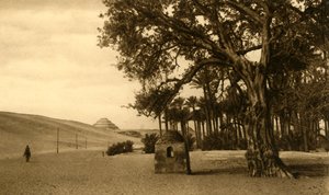 Saqqara - A pirâmide de degraus vista do Sycomore, c1918-c1939. de Unbekannt