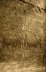 Saqqara - Tumba de Ptahotep - Decoração Mural, c1918-c1939. de Unbekannt