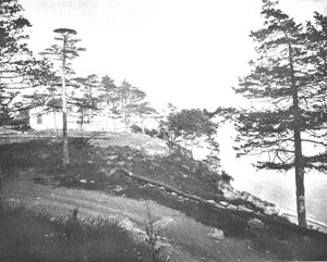 Savin Rock, New Haven, Connecticut, EUA, c1900. de Unbekannt
