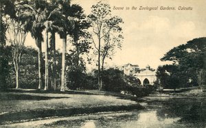 Cena nos jardins zoológicos, Calcutá. de Unbekannt