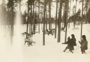 Suécia. Pano (semente) ao pegar uma rena. Por volta de 1900 de Unbekannt
