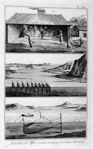 Pesca marítima, arenque e sardinha, 1751-1777 de Unbekannt