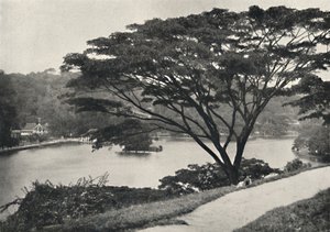 Lago, templo do dente sagrado e biblioteca em Kandy, vista a leste da Victoria Drive, 192 de Unbekannt
