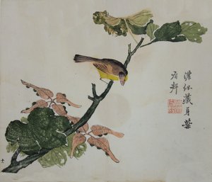 Sementes e Aleurites Cordata: Página do Manual do Jardim de Sementes de Mostarda de..., 1782, 2ª edição. de Unbekannt