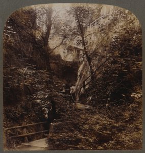 Shanklin Chine de fama mundial, Ilha de Wight, Inglaterra, c1910. de Unbekannt