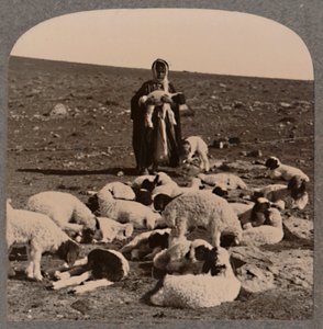 Pastor e rebanho, c1900 de Unbekannt