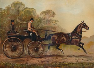 Chicote de fios Phaeton Horse Columbine. Propriedade de Charles Baynes Esq., 1872, c1879 de Unbekannt