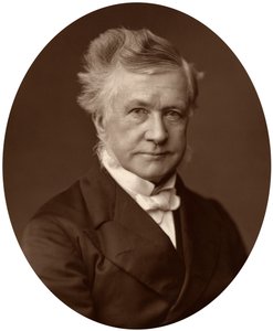 Sir Robert Lush, juiz do Supremo Tribunal de Justiça, 1881 de Unbekannt