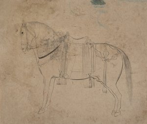 Esboço de um Cavalo, final do século XVIII. de Unbekannt