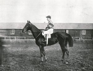 Arranha-céu, 1911. de Unbekannt