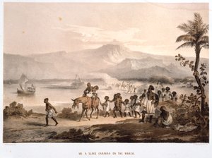 Comboio de escravos em março de 1852 de Unbekannt