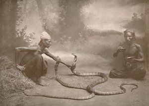 Encantadores de serpentes com Hamadryads Kuy Cobras, 1900. de Unbekannt