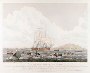 Pesca da baleia do mar sul, 1825 de Unbekannt