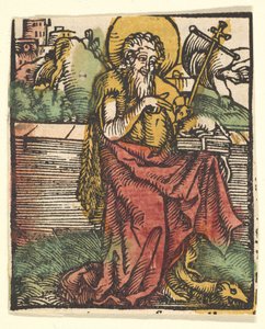 Cópia de São João Batista, após 1511. de Unbekannt