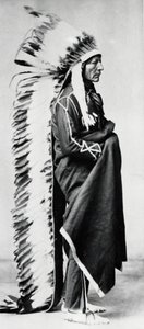 Bear em pé, chefe do Dakota Sioux, índios das planícies da América do Norte, c1885-c1890 de Unbekannt