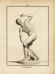 Estátua de Endymion, pastor grego de Unbekannt