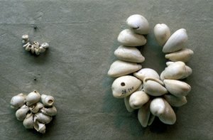 Cordas de conchas de Cowrie de Unbekannt