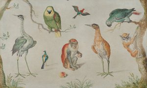 Estudo de pássaros e macacos, 16601670. de Unbekannt