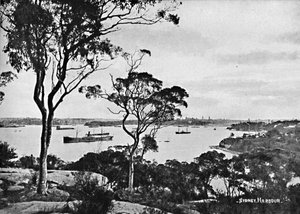 Porto de Sydney, de Cremorne Point, c1900. de Unbekannt