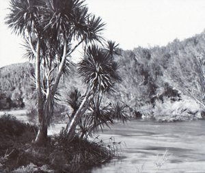 Rio Waihou, Okoroire, final do século XIX e início do século XX. de Unbekannt