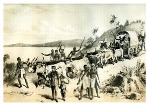 A chegada ao lago Ngami, 1883 de Unbekannt