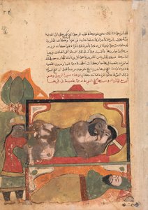 O Ascetic Witnesses the Woman Trying to Poison the Lover, Folio from a Kalila..., século XVIII. de Unbekannt