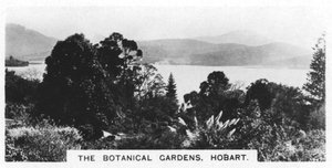 O Jardim Botânico, Hobart, Tasmânia, 1928 de Unbekannt