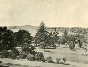 Jardins botânicos de Sydney, 1901. de Unbekannt