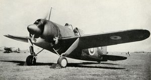 O búfalo de Brewster, 1941. de Unbekannt