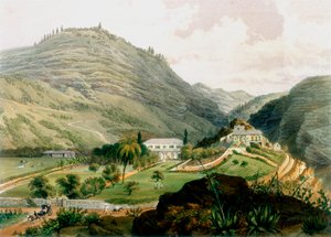 Os Briars, Santa Helena, início do século XIX 1851 de Unbekannt
