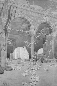 O pátio da mesquita dos pombos, 1913 de Unbekannt