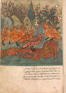 The Crow Spy Talks to the King of the Owls and His Ministers, Folio from a Kalila..., século XVIII. de Unbekannt