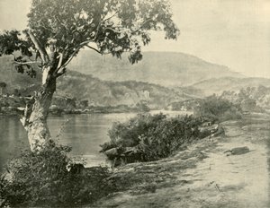 O Derwent em New Norfolk, 1901. de Unbekannt