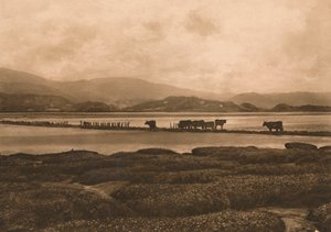 O Dovey em Ynyslas, 1902 de Unbekannt