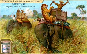 O elefante em uma caça ao tigre, c1900 de Unbekannt