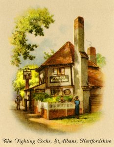 Os galos de combate, St. Albans, Hertfordshire, 1936. de Unbekannt